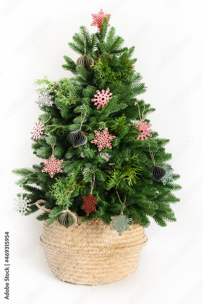 Fototapeta premium Trendy Christmas tree in wicker basket decorated red and green wooden snowflakes, natural dry flowers, eco materials isolated on white background. Creative idea for Xmas holiday. Reusable Christmas