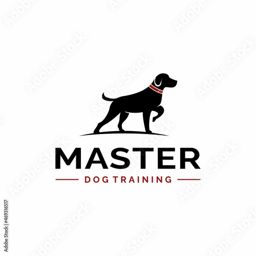 Animal Pet Dog Training Silhouette Symbol Logo Design