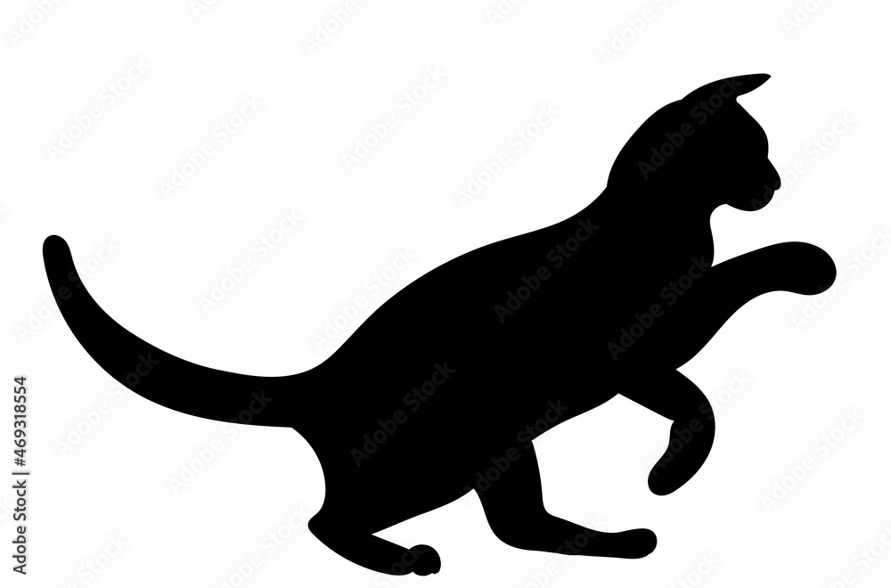 Obraz premium cat, black silhouette vector, isolated, icon