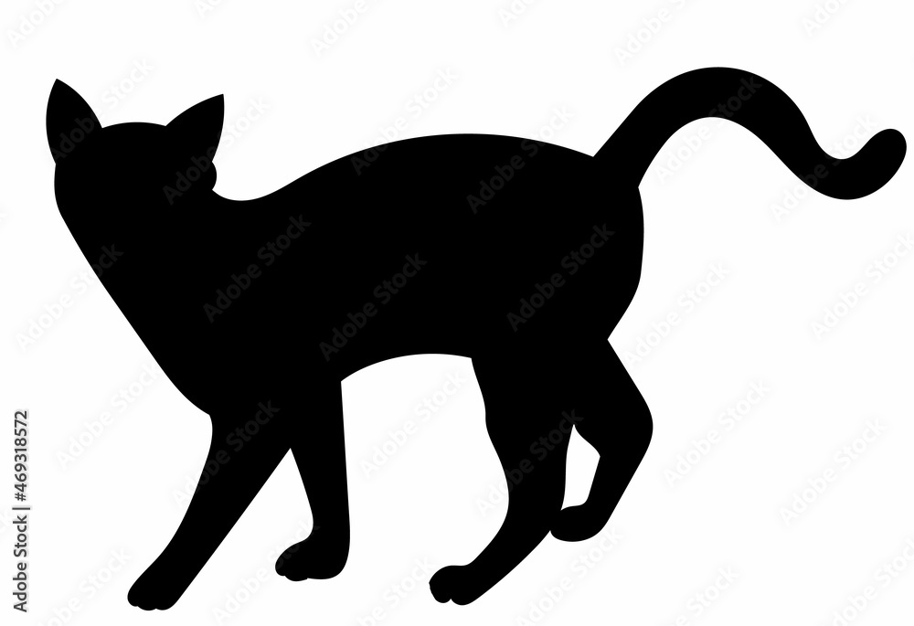 cat, black silhouette vector, isolated