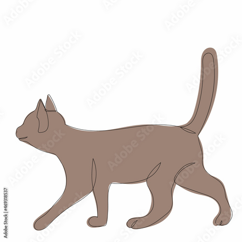 cat sketch  line drawing vector  isolated