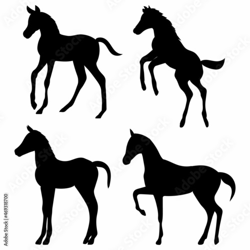 foals, black silhouette vector, isolated