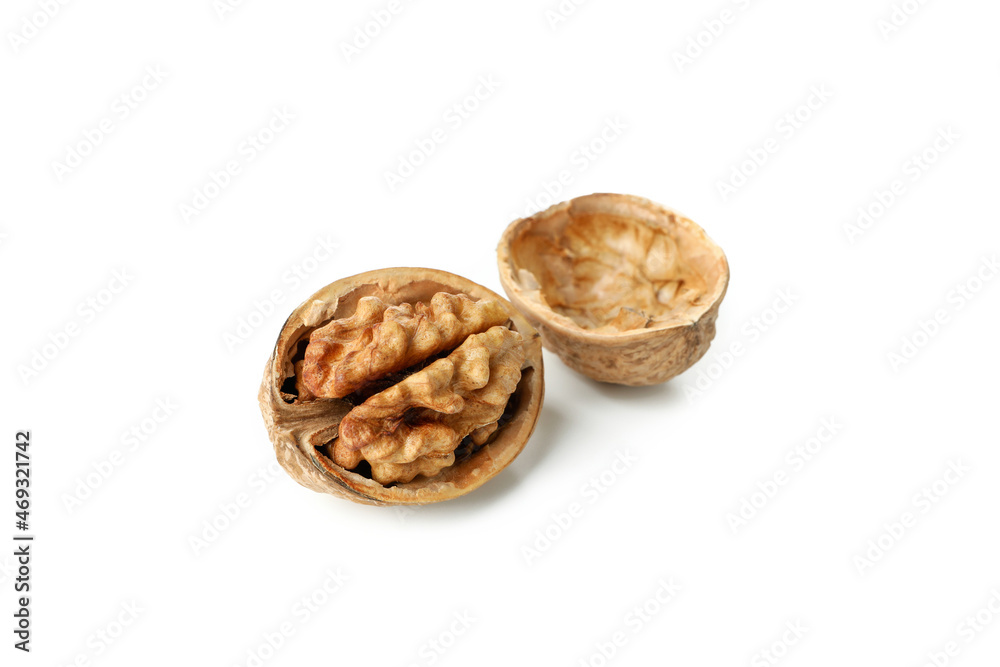 Walnut isolated on white background, close up Walnut isolated on white background, close up