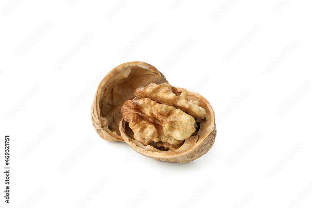 Walnut isolated on white background, close up Walnut isolated on white background, close up