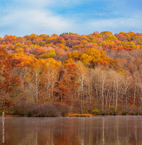 Autumn trees on the shore of Raccoon Lake with a blue clouded sky and water reflections.
