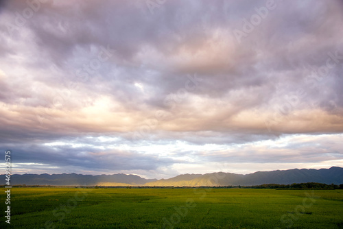 Green Rice Field with Mountains Background and cloudy sky