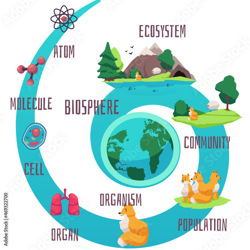 Biodiversity and classification of biosphere life infographics cartoon. photo