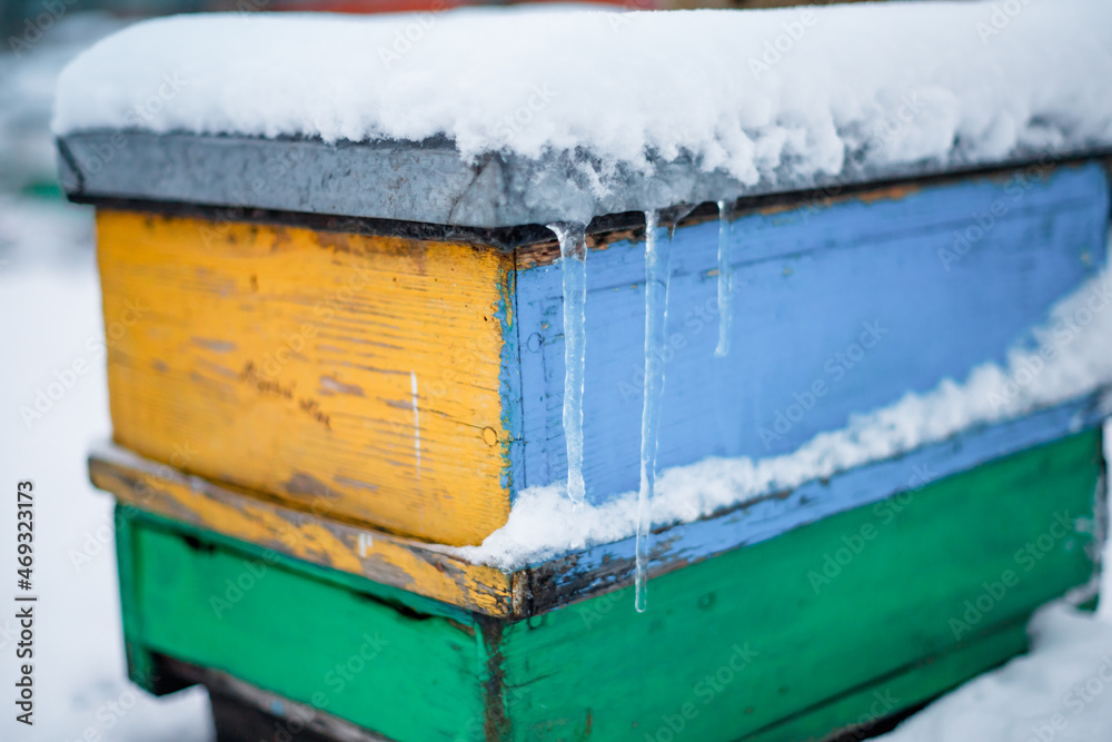 Colorful hives on apiary in winter stand in snow among snow-covered trees. Beehives in apiary covered with snow in wintertime in frosty. Colorful hives on apiary in winter stand in snow among snow-covered trees. Beehives in apiary covered with snow in wintertime in frosty.