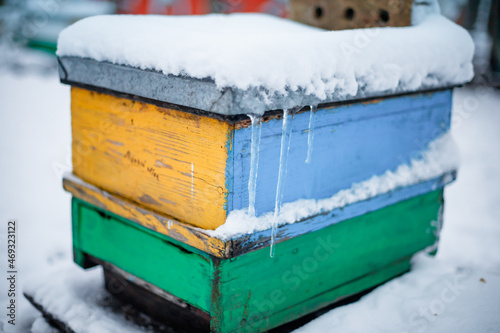Apiary in the snow. Snow-covered hives after a snowfall.  Wintering of bees in hives in an apiary without shelter © Maryna