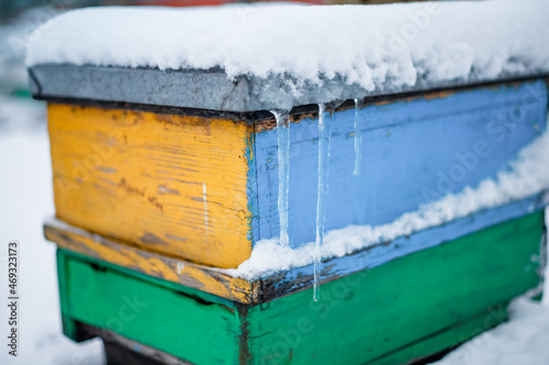 Colorful hives on apiary in winter stand in snow among snow-covered trees. Beehives in apiary covered with snow in wintertime in frosty.  © Maryna