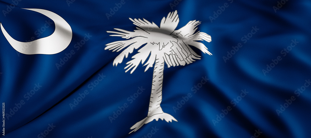 Waving flag concept. National flag of the US State of South Carolina ...