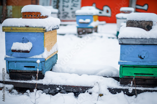 Colorful hives on apiary in winter stand in snow among snow-covered trees. Wintering honeybees in outdoor winter. Hives on apiary in December in Europe