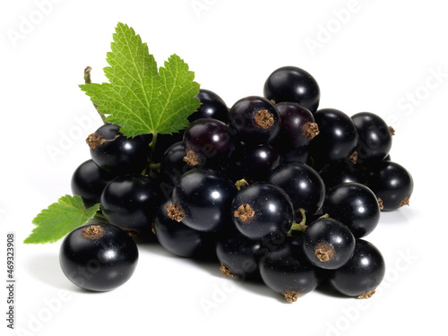 Black Currants on white Background Isolated