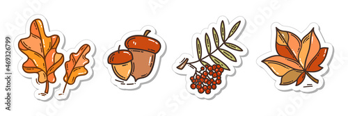 Colorful hand-drawn autumn sticker set with oak leaves, acorns, a maple leaf, and a bunch of rowan in doodle style isolated on white background. Cute vector collection for seasonal decoration.
