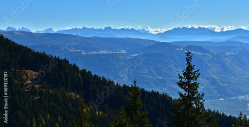 Südtirol bei Meran, Blick zu den Dolomiten Langkofelgruppe, Rosengarten und Latemar © JRG