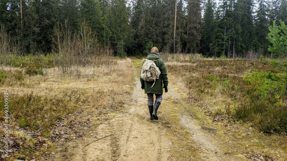 walking in the woods walking in the woods