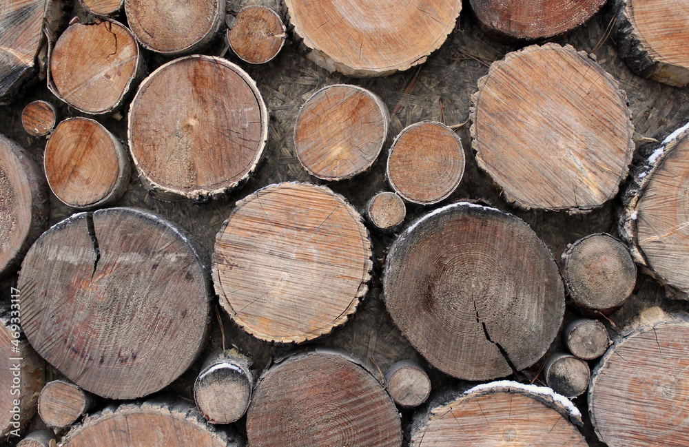 Background from round pieces of wood Background from round pieces of wood