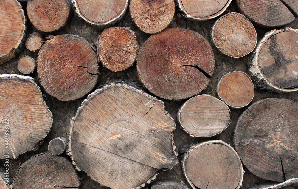 Fototapeta premium Carved circles of wood in the wall