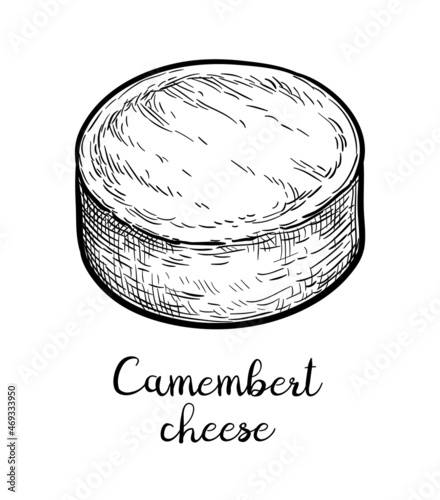 Camembert cheese ink sketch