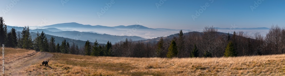 Panorama, Jałowiec, Hala Trzebuńska - Beskid Żywiecki