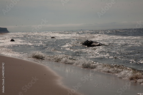 Pusta plaża nad morzem