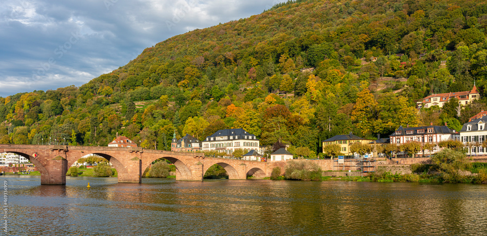 Heidelberg mit der Alten Brücke und Villen am Neckar, Deutschland