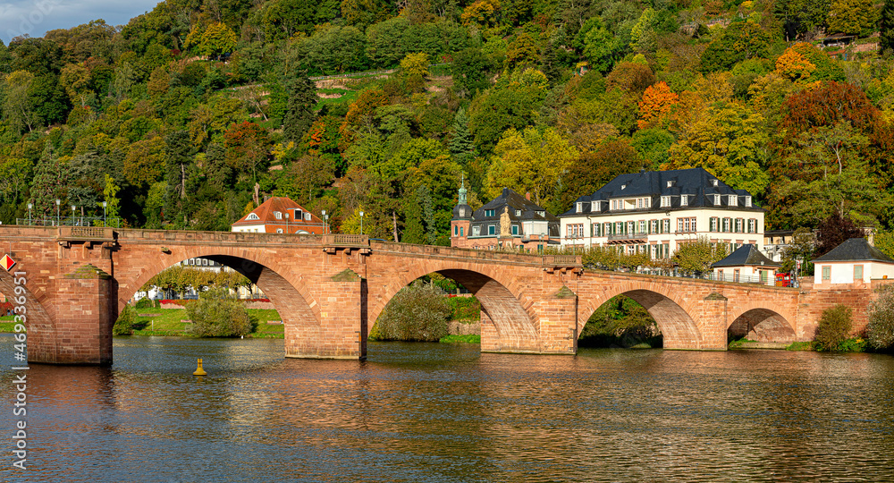 Heidelberg mit der Alten Brücke und Villen am Neckar, Deutschland