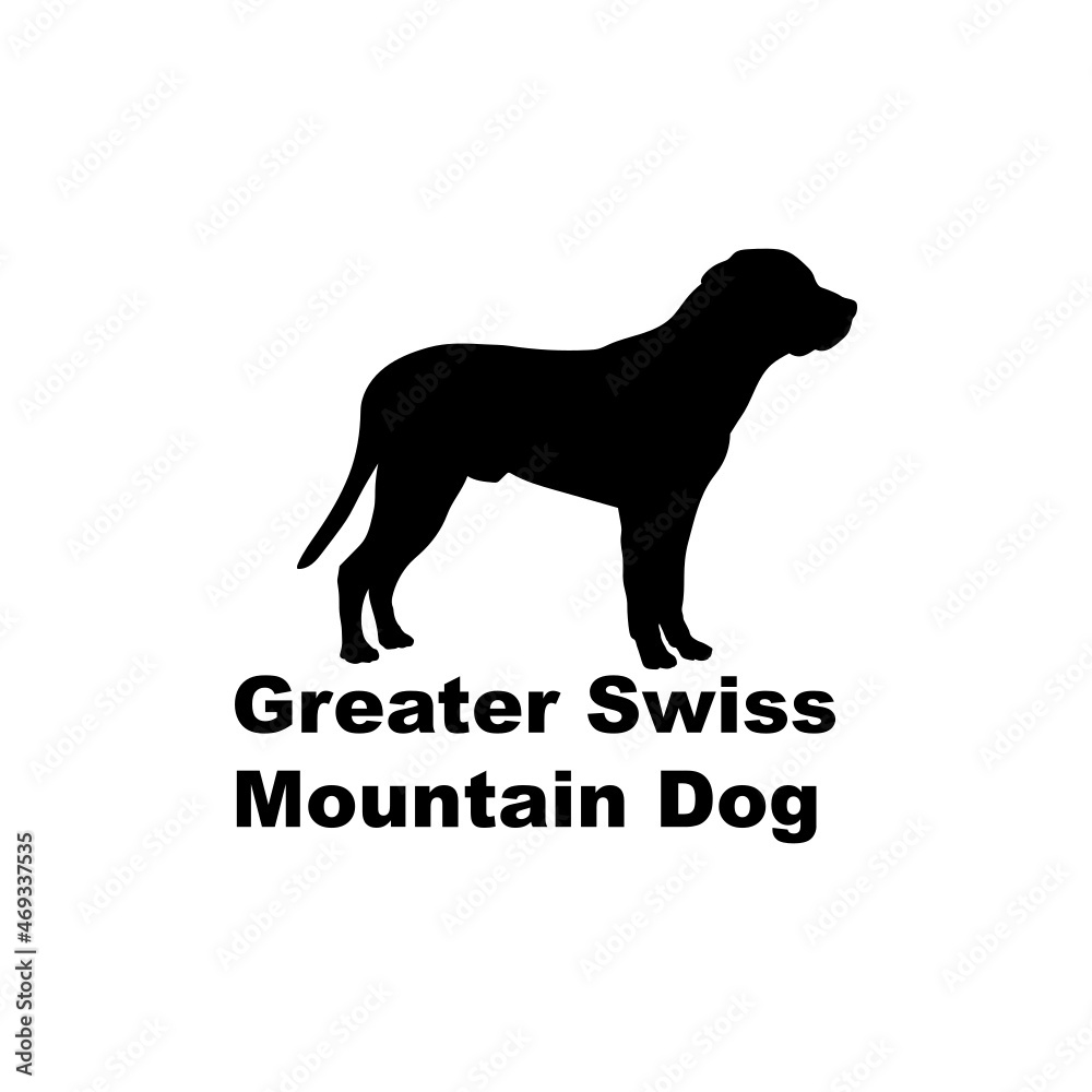 Greater Swiss Mountain Dog.