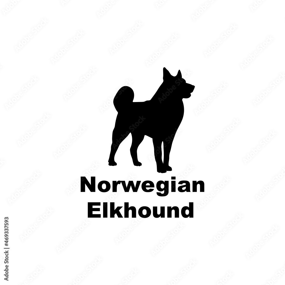 Norwegian elkhound