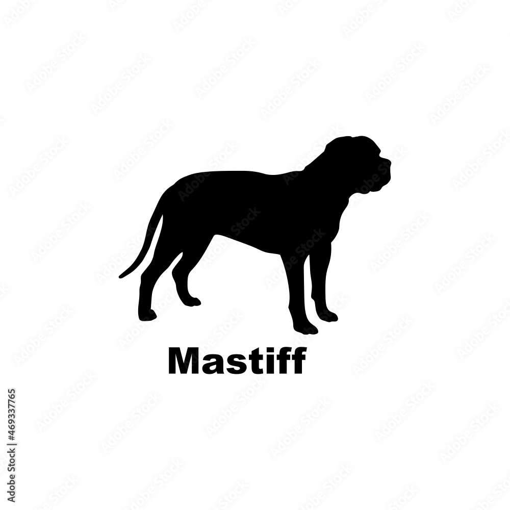  Mastiff
