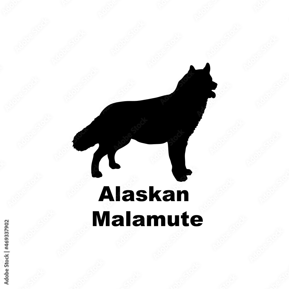 Alaskan malamite.svg