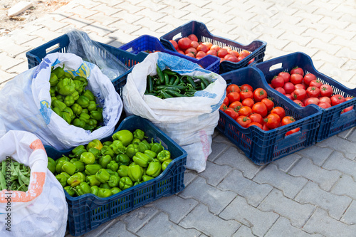 Close-up of different varieties of ripe tomatoes in boxes and a box of bell peppers on the street market in Esilova, Turkey. Sale of seasonal vegetables photo