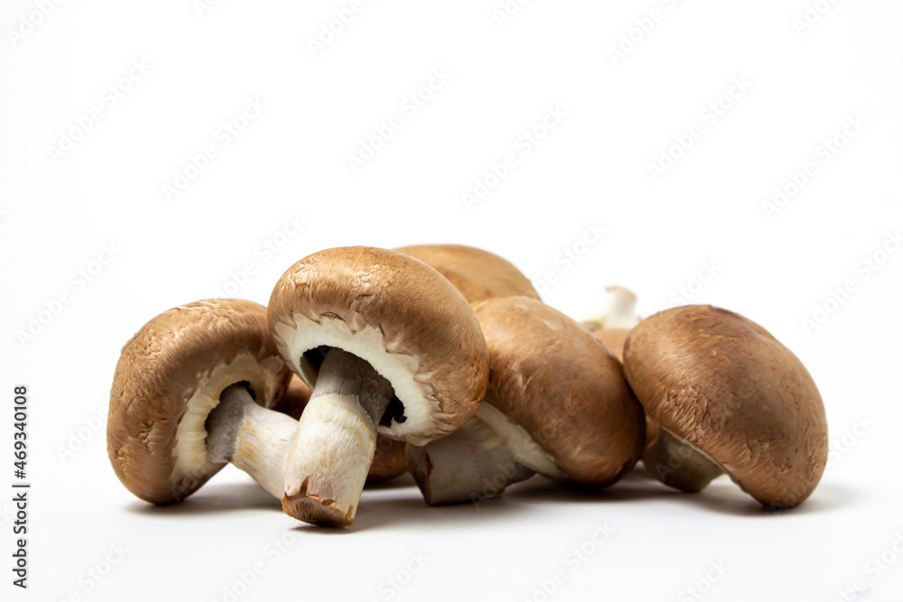 Fototapeta premium Brown champignons on a white background. Champignon variety. Healthy vegetarian food.