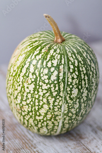 A kind of green marbled pumpkin photo