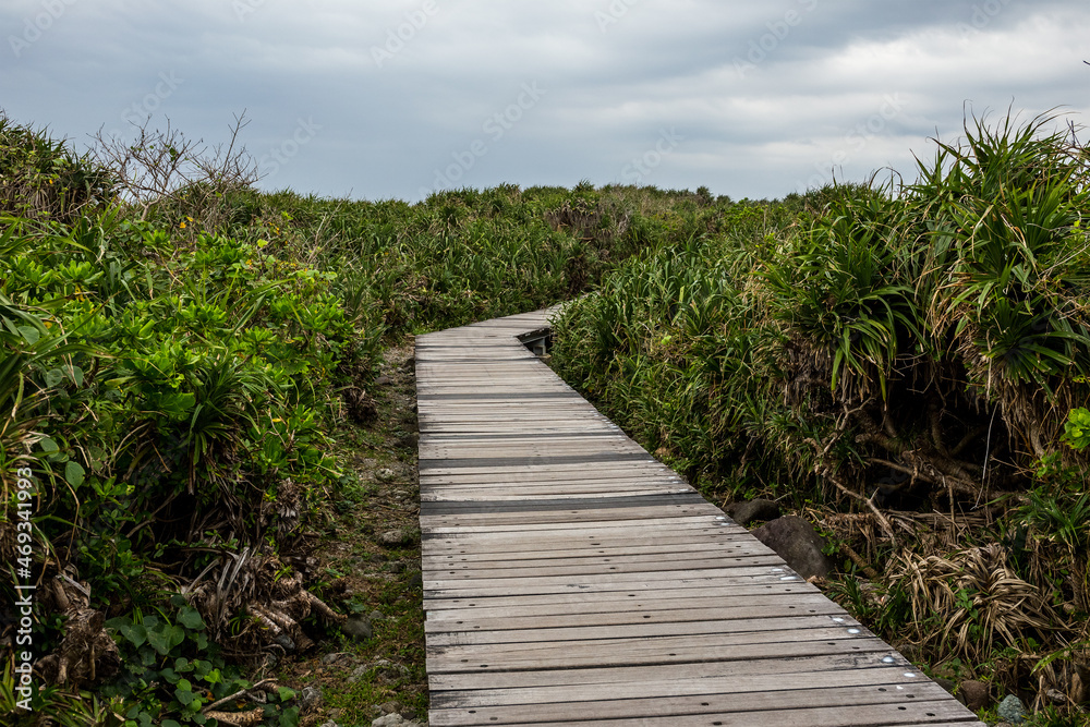 Fototapeta premium Wooden footpath in forest park