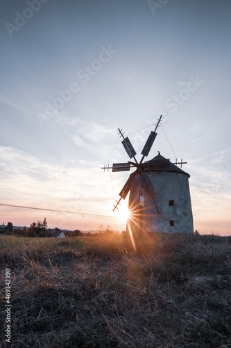 Windmill in the sunset with flowers. in the evening these mills are in a great landscape in Hungary in Tes am Balaton
