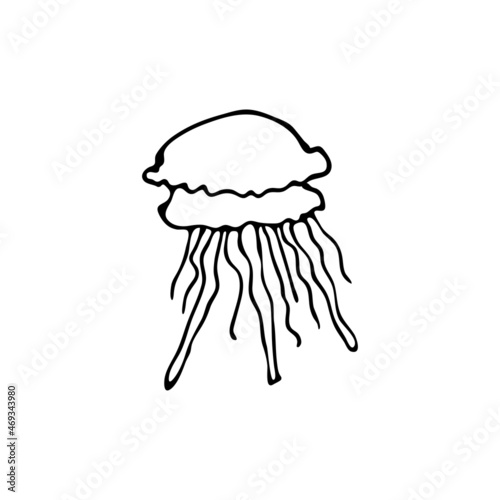 Doodle sea jellyfish. Inhabitant of the coral reef. Invertebrate animal of the ocean, seabed, oceanarium. Hand drawn thin line art vector illustration. Isolated simple element.