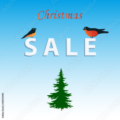 Two bullfinches, Christmas tree - gentle blue background - vector. Card. Banner. Poster. Winter sale. Christmas sale.
