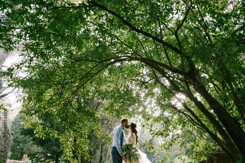 The bride and groom stand kissing under lush bush in the olive grove  © Nadtochiy