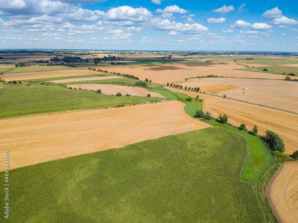 Naklejka premium Aerial view on fields in Summer around village Dziekanowice in Poland