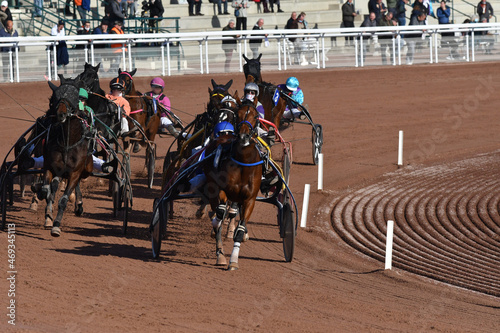Bilde på lerret course de chevaux en trot attelé