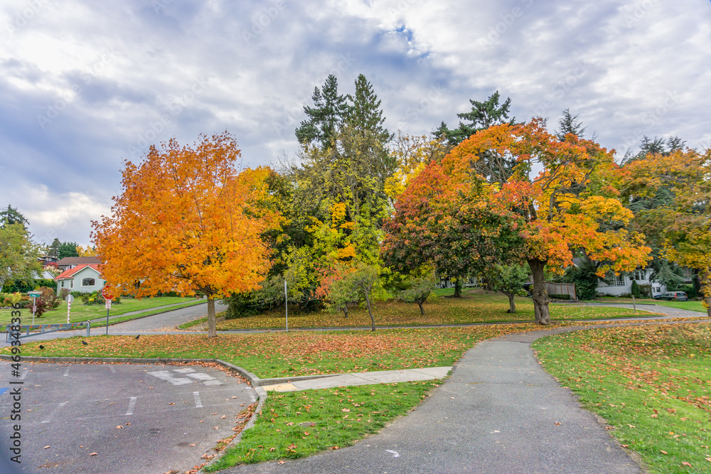 Colorful Autumn Lakeside Trees 3