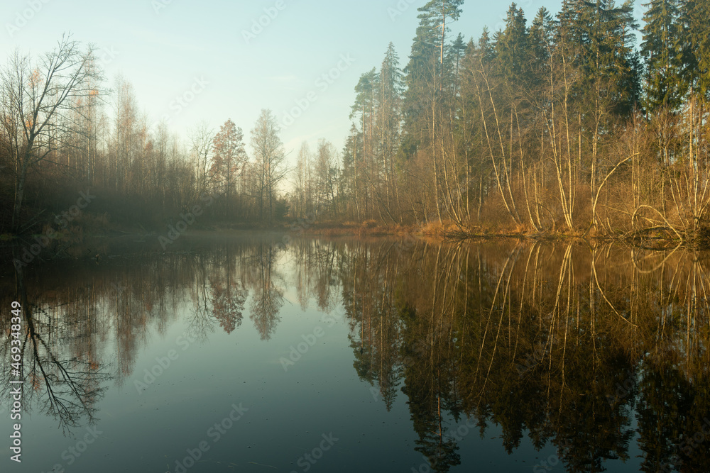 Obraz premium Forest lake in the fog.
