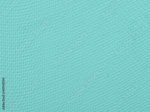 plastic shield mint color with fine texture