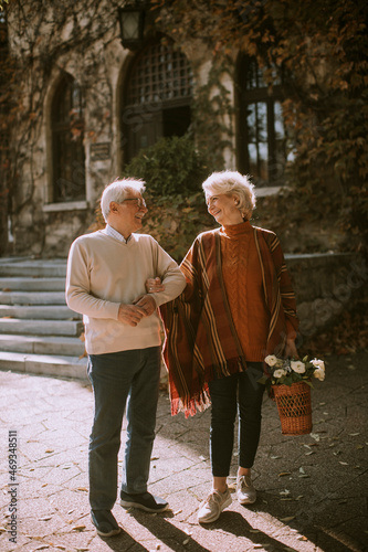Senior couple walking with ...