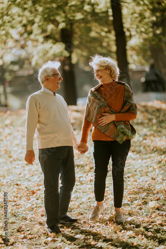 Senior couple walking in au...