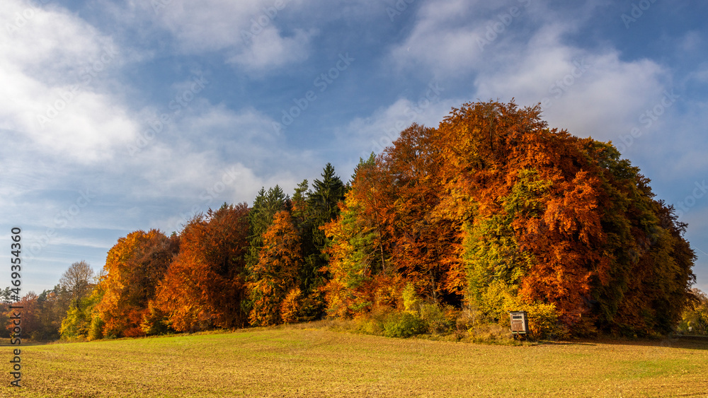 Fototapeta premium Landschaft im Herbst vor blauem Himmel