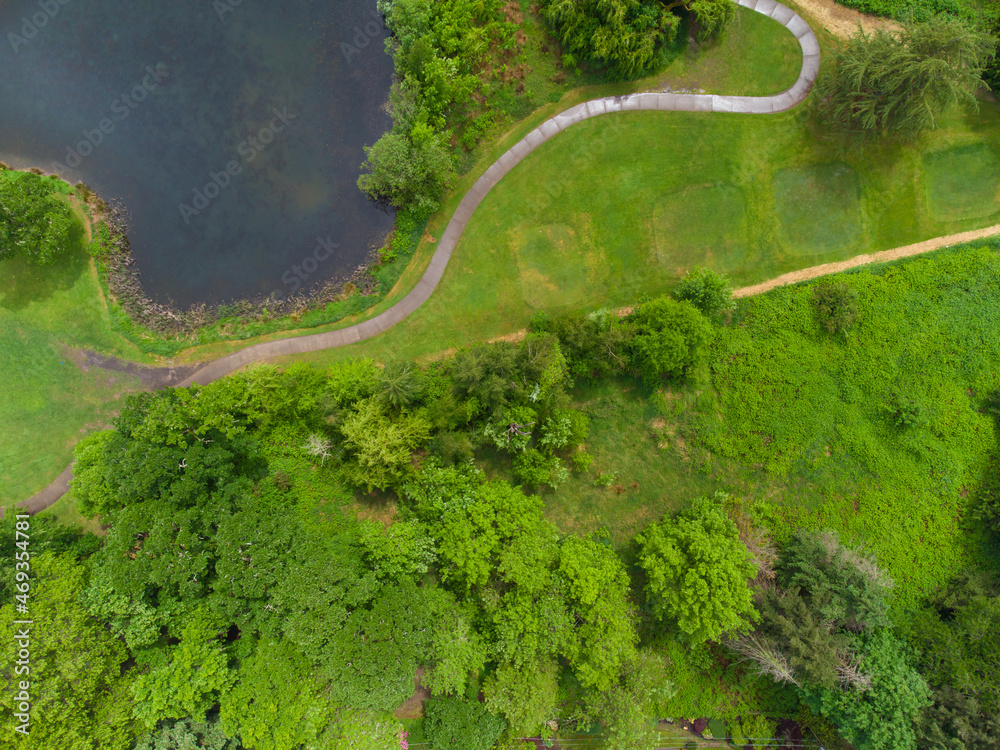 Aerial view. A large green meadow, many bushes, trees, green grass and a lake. Wilderness, no people. Beautiful nature, calm scenes. Environmentally friendly place.