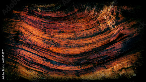 Fototapeta Naklejka Na Ścianę i Meble -  Trunk and surface of old wood.