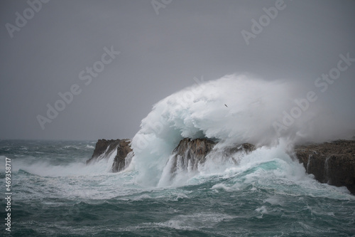 Temporal olas menorca gaviota